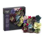 Ac1604 Felt Succulents Box 4 1000x1000 1