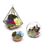 Ac1604 Felt Succulents Kit 4a Crop 1000x1000 1