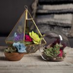 Ac1604 Felt Succulents Kit 4b Crop 1000x1000 1