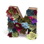 Ac1604 Felt Succulents Kit 5a Crop 1000x1000 1