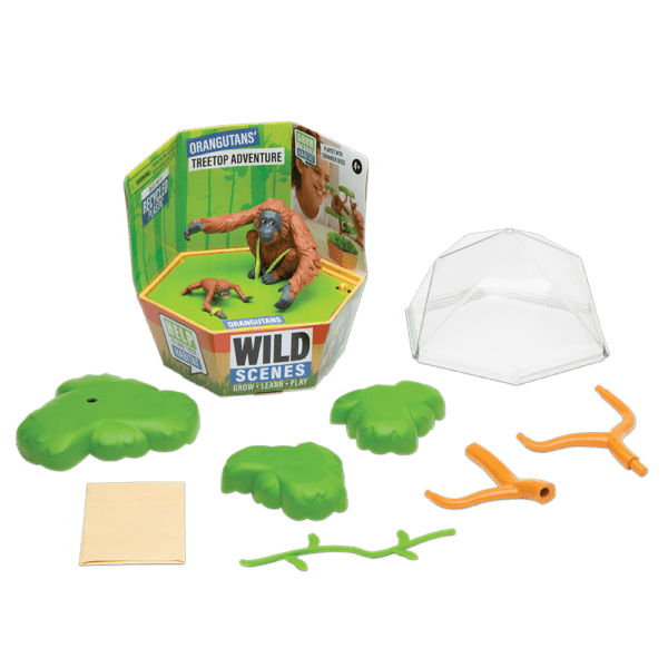 Wild Scenes Orangutans’ Treetop Adventure